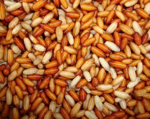 Kent Tackle Casters 1 pint