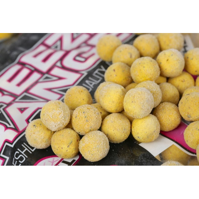 Mainline Freezer Boilies 5kg Bag