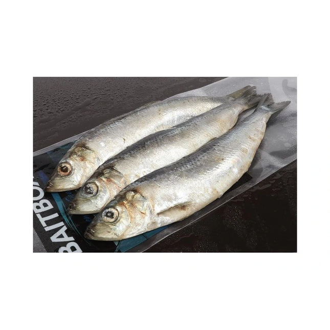 Baitbox Pike Baits Herring Jacks
