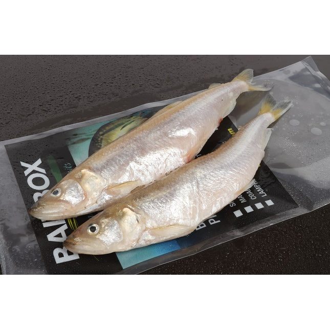 Baitbox Pike Baits Smelt 6.5-7.5”