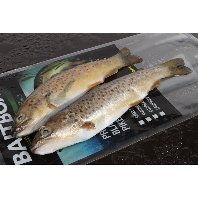 Baitbox Pike Baits Trout 6-7”
