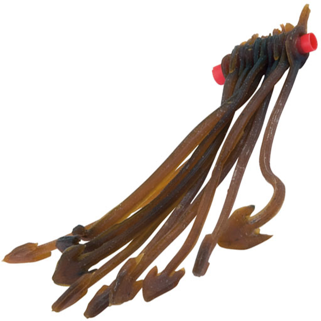 Pole Winders – Kent Tackle