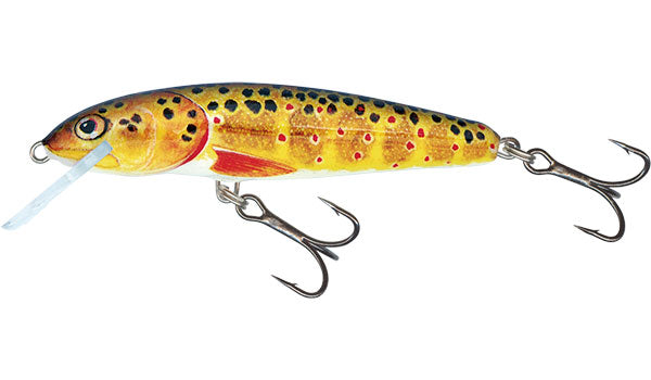 Salmo Sinking Hornet - Kent Tackle