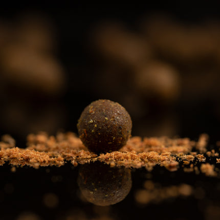 Sticky Baits Krill Active Freezer Boilies 1