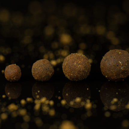 Sticky Baits Krill Active Freezer Boilies 2